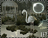 Dark Night Island Swamp