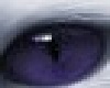Demon eyes purple