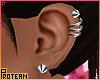 ❁ Earrings Silv.