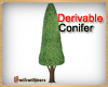 Derivable Conifer