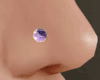 Purple Amethyst NosePier