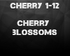 Cherry Blossoms