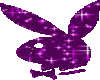 playboy bunny sparkle