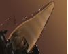 LC- Tribal Ears 2