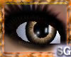 *SG* Brown Shiny Eyes