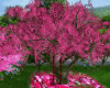 Love Pink Tree