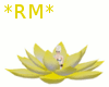 *RM* Yellow Lotus