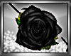 ~Black Rose EyePatch~