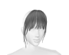 Grey Bangs V1