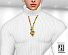 ℍ™ Turtlenecklace