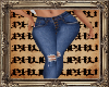 PHV Button Fly Jeans RL