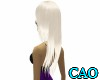 CAO Platinum Casey