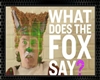 Ylvis The Fox