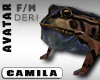 Giant Frog Avi -No Anim-