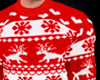 [Y]Christmas Sweater