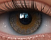 ✔ Eyes
