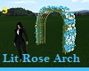 Lit Rose Arch 3