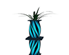 Aqua Vase with plant