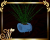 WT- REFLECT Potted Grass