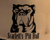Scarlett's PitBull /AVP