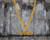 Ch Wzho Gold