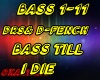 DSR Bass Till I Die