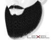 [Lexel] Hudson beard