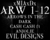 [M]ARROWS IN THE DARK