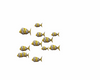 Fishes Animated