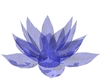 blue rave flower 