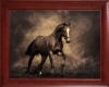 SE-Framed Horse Art
