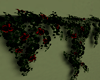 I. Wall Vines