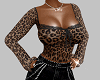 top leopard