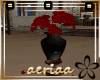 *acacia* floral vase