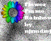 Flower Frame Rainbow