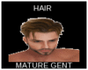 HAIR MATURE GENT