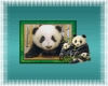 Animated Panda Blinki