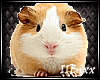 Avatar de Hamster F/M