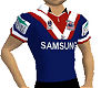 Male NRL Roosters Jersey