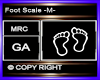 Foot Scale -M-