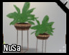 Arabesque Plants
