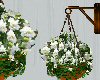 Hanging flowers white 2