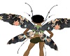 "Black Butterfly' wings