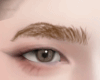 Eyebows blonde