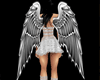 [AA] Wings Silver1