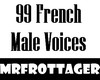 99 French Male Voices