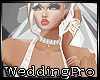 Cute Bride Full Outfit