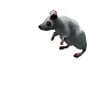 ANIMATED RAT