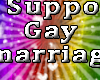 I support Gay Marriage