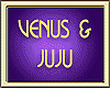 VENUS & JUJU